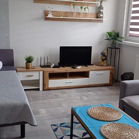 Apartament 27 普沃茨克 外观 照片
