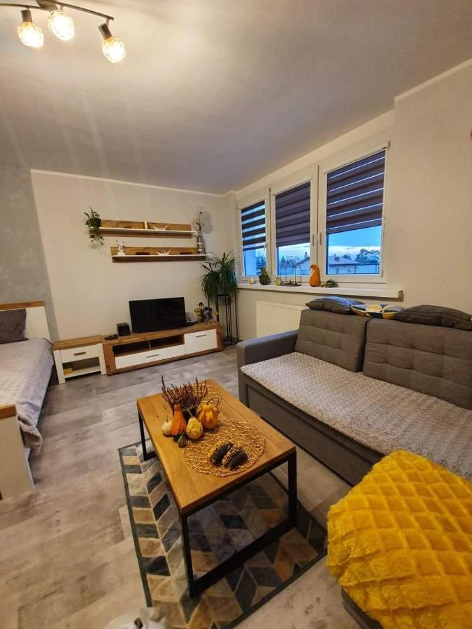 Apartament 27 普沃茨克 外观 照片